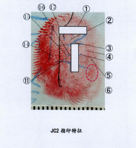 yyy2.png